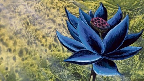 A Black Lotus card from Magic: The Gathering