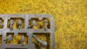 Photo of the new upgrade sprue heads of the new Warhammer 40K Cadian Shock Troops kit