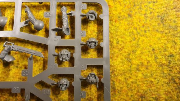 Photo of the new upgrade sprue included in the new Warhammer 40K Cadian Shock Troops kit