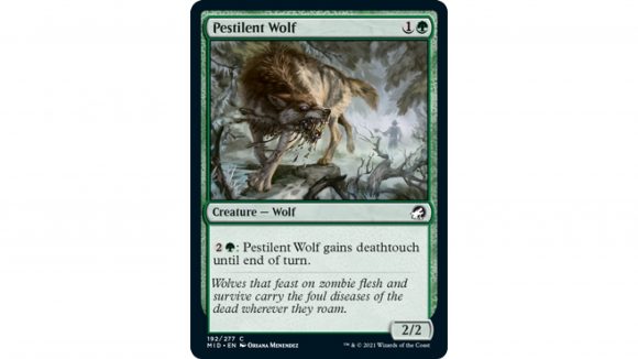 Magic The Gathering Innistrad Midnight Hunt Spoilers - photo of the preview card Pestilent Wolf