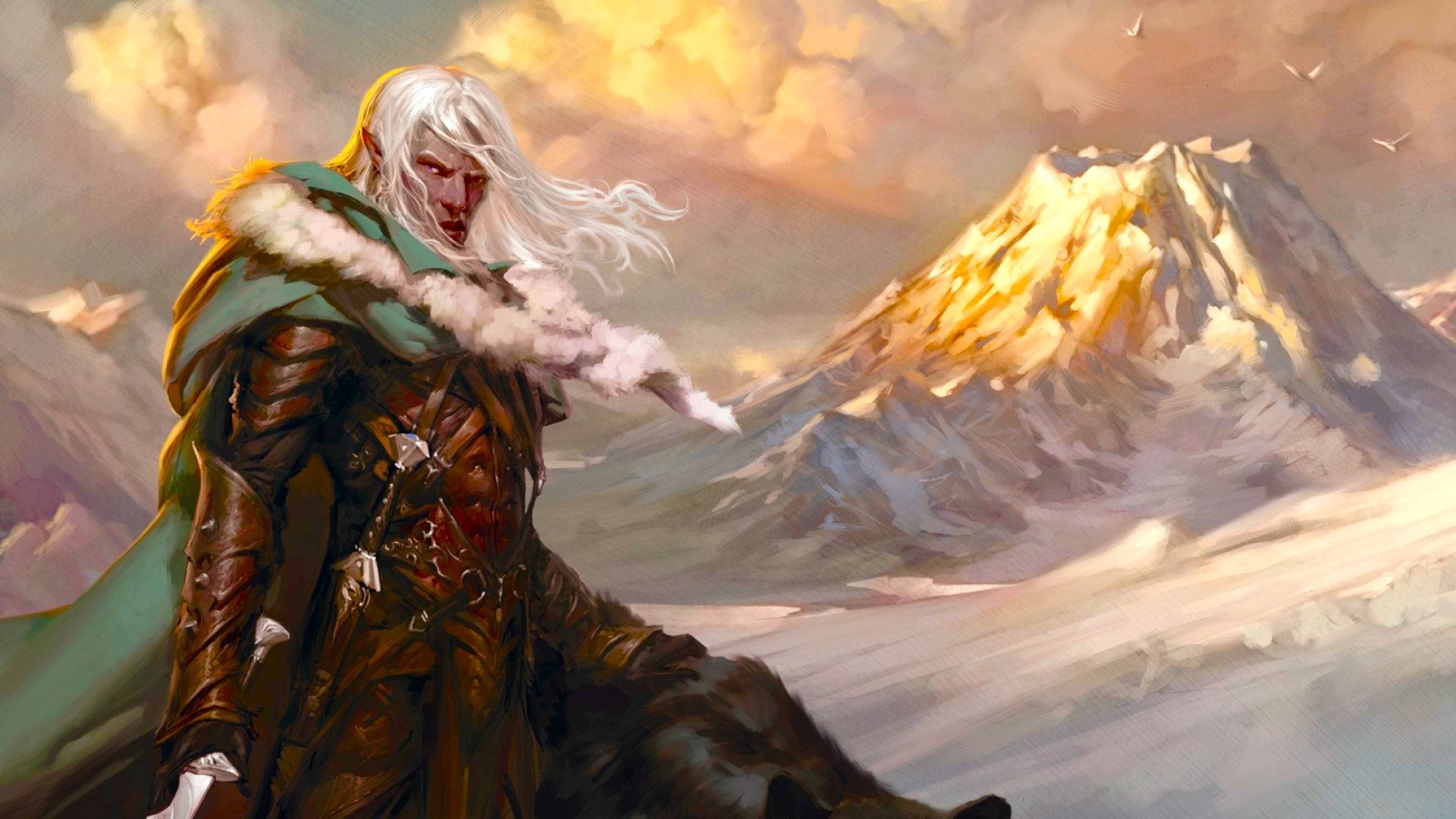 DnD Blood Hunter 5e - warrior in leather armour and a green cloak stands in front of a mountain (art by Wizards of the Coast)