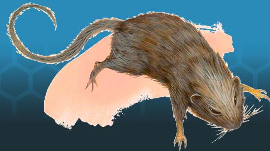 DnD Children of Earte - a rat illustration
