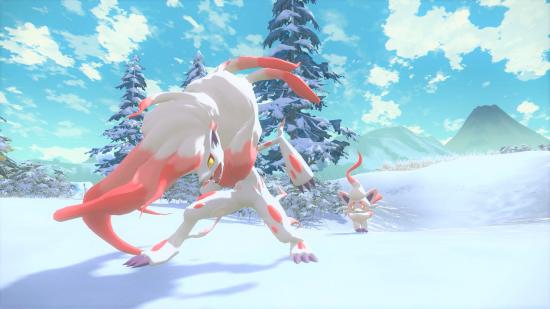 Pokemon TCG - Hisuian Zoroark and Zorua in the snow.