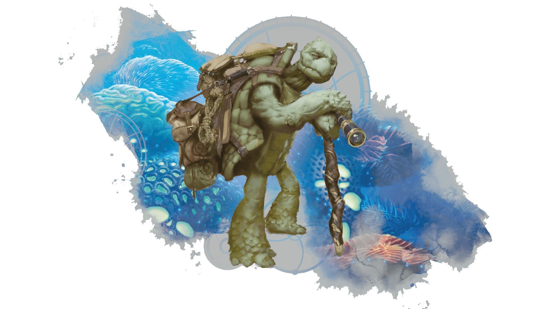 DnD Tortle 5e stands in front of a coral reef (art by Wizards of the Coast)
