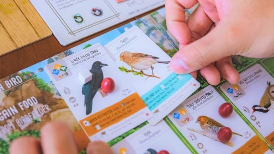 Wingspan board game - an image of bird cards from the game Wingspan