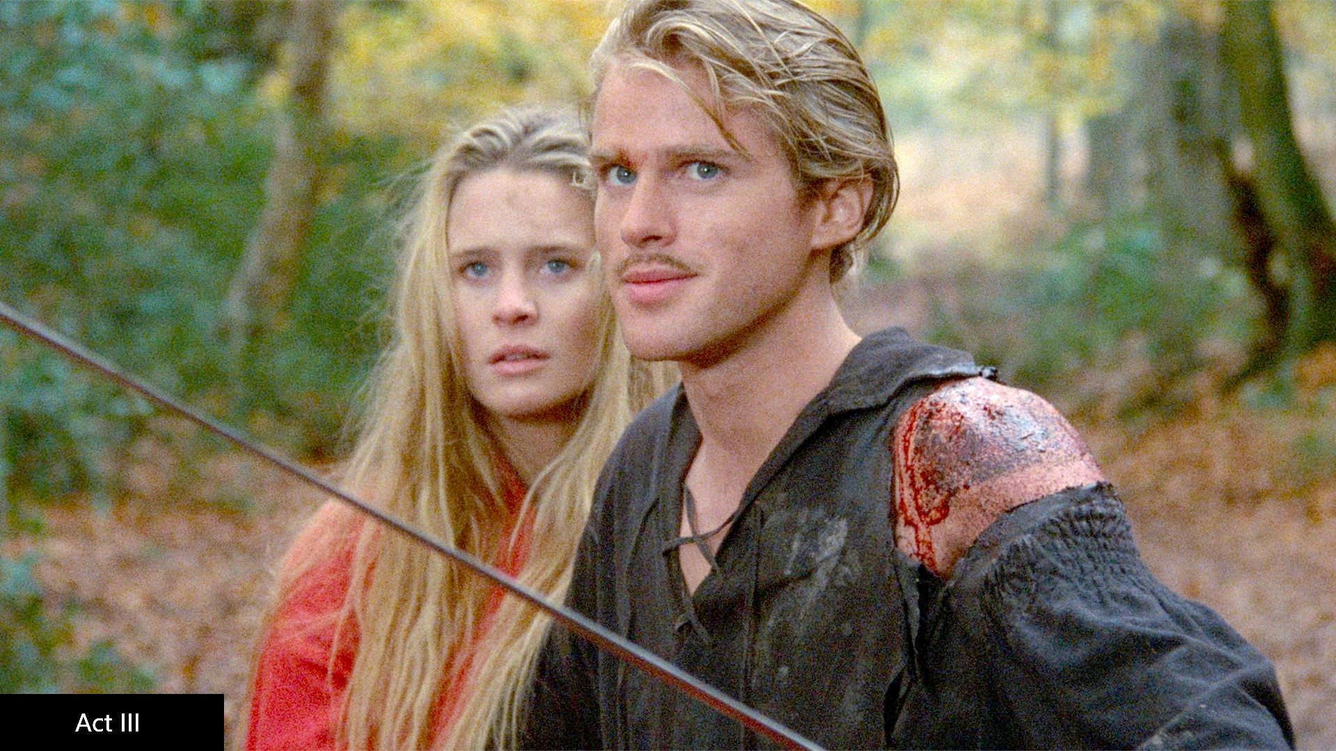 Dungeons and Dragons movies - Princess Bride still showing Westley looking nervous