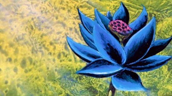 MTG Black Lotus auction record - Wizards of the Coast art of the Black Lotus