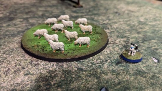 NonCombatTabletop games are like Warhammer without the war - photo by idiot wind of Herding28, a flock of miniature sheep and a wee miniature dog