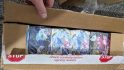 Pokemon TCG flood ruins collection - photo of water-damaged booster boxes