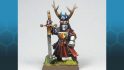 Warhammer the Old World Bretonnian Paladin converted by Andrea Meli, front view, painted