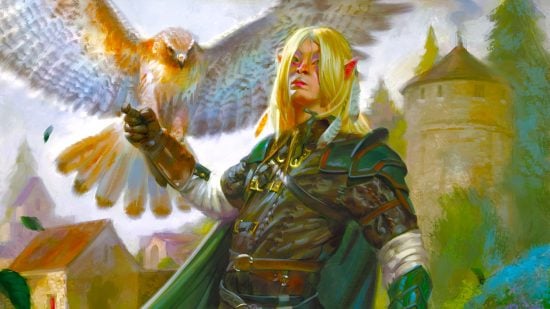An elf, one of the DnD races, with a hawk (art by Wizards of the Coast)