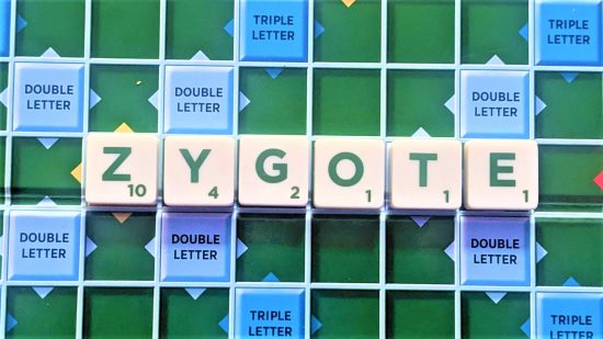Scrabble words with Z - photo of the word Zygote on a Scrabble board