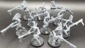 Warhammer 40k Kroot models made from plastic sprues - Kroot troops