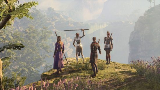 Baldur's Gate 3 screenshot showing a party of characters on a cliff.