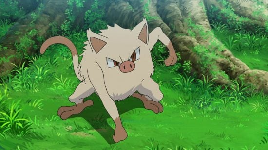 All Pokémon types guide - Pokémon TV series screenshot showing Mankey, a Fighting type