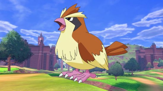 All Pokémon types guide - Pokémon TV series screenshot showing a Pidgey, a flying type