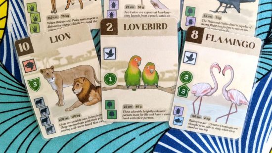 Prototype cards for the Kickstarter board game Kavango - cards representing lions, lovebirds, and flamingos