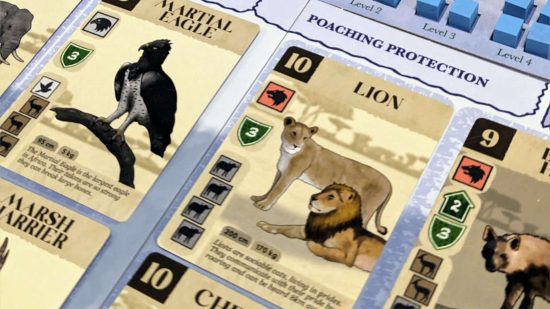 Closeup on cards and playboard from the Kickstarter board game Kavango, the card for the Lion front and centre