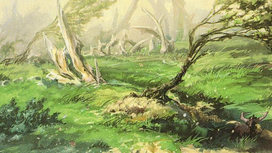 Wizards of the Coast artwork from Windswept Heath, one of the MTG fetch lands