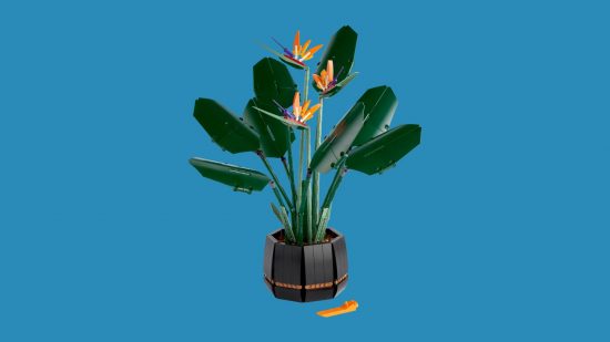 Best Lego flowers: Bird of Paradise. Image shows a potted Bird of Paradise.