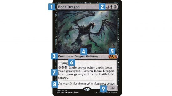 How to play magic the gathering - the mtg card bone dragon covered in numbers.