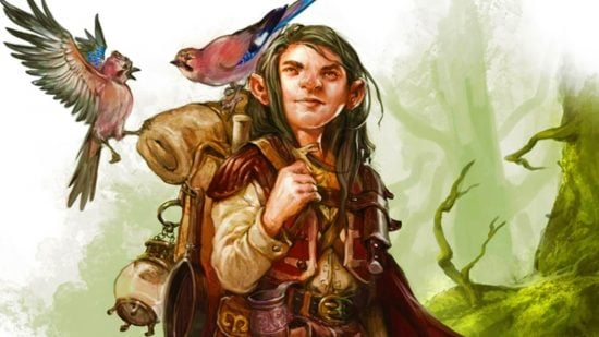 DnD Druid subclasses 5e - Wizards of the Coast art of a Druid with two birds on their backpack