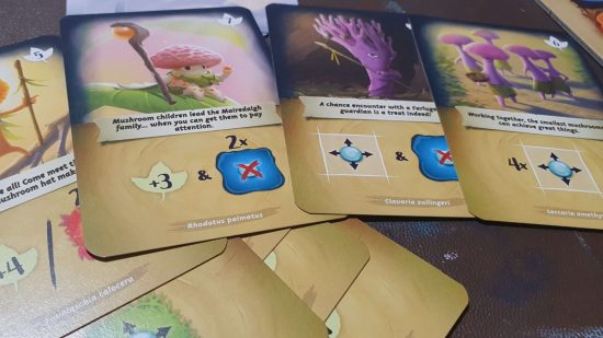 Mycelia review - mushroom hero cards