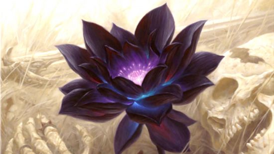 Magic The Gathering Black Lotus most expensive card - Wizards of the Coast card art image for Black Lotus from the 2014 Vintage Masters set