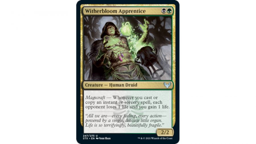 MTG card photo showing Witherbloom Apprentice