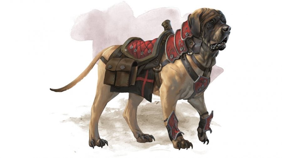 An armoured mastiff from D&D, with a saddle on its back
