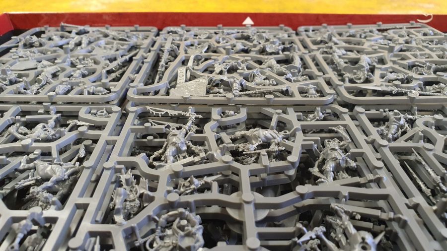 Close up photo of the model sprues in Warhammer Age of Sigmar Dominion