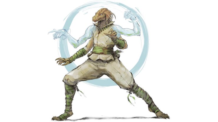 1. Monk Class in Dungeons and Dragons - wide 6