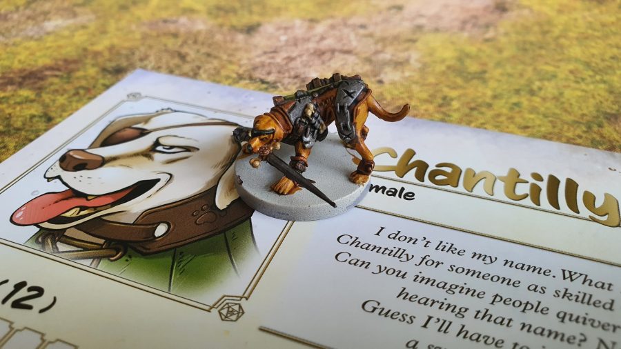 Animal Adventures starter set review - author's photo showing the miniature and character sheet for Chantilly