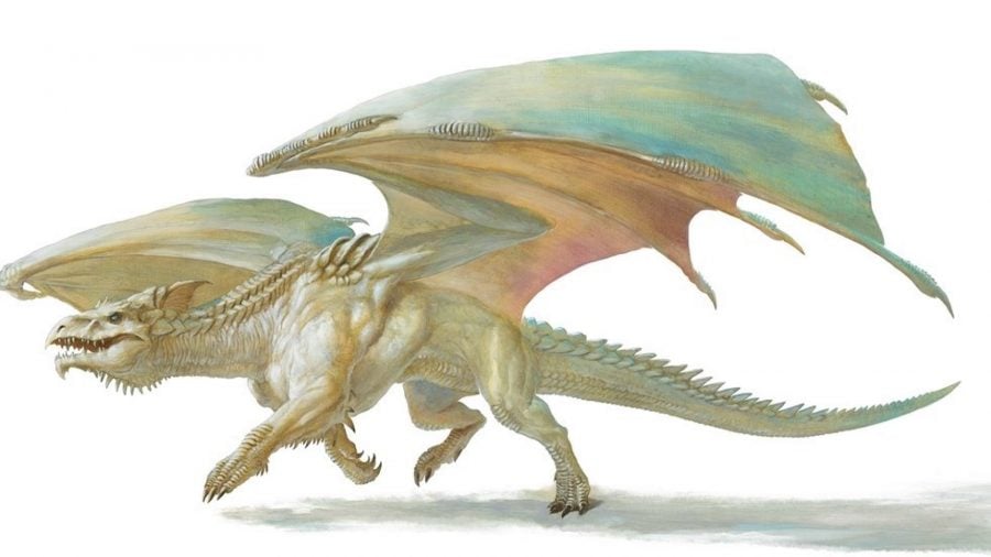 dnd dragons white dragon illustration