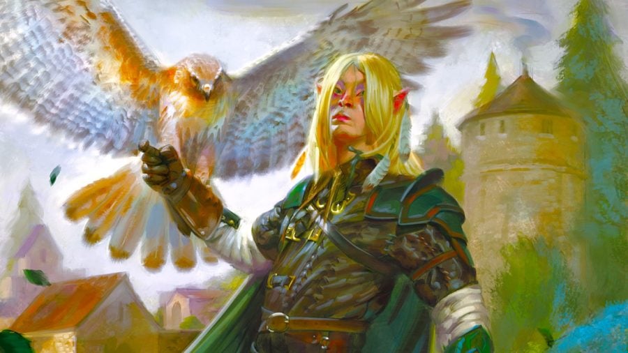 DnD half-elf 5e - an elven-looking ranger in leather armour and a green cloak allows a falcon to perch on his arm