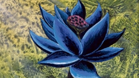 magic the gathering reserved list mark rosewater - a dark petalled lotus flower